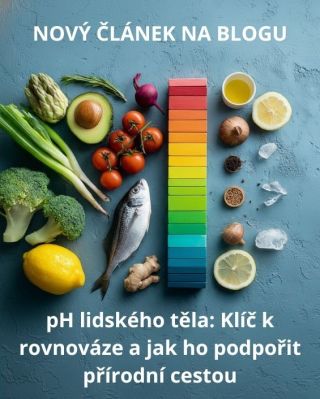 Přinášíme čerstvou dávku inspirace pro vaše zdraví! Právě jsme vydali nový článek na blogu, který vás ponoří do...